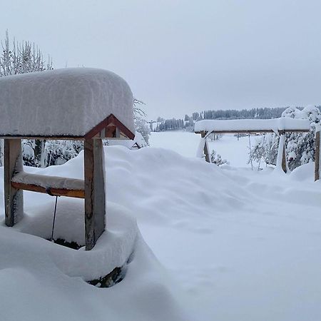 Trollenhof Im Allgaeu - Ferienwohnungen Saeuling Ruckholz Extérieur photo