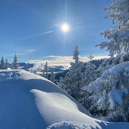 Trollenhof Im Allgaeu - Ferienwohnungen Saeuling Ruckholz Extérieur photo