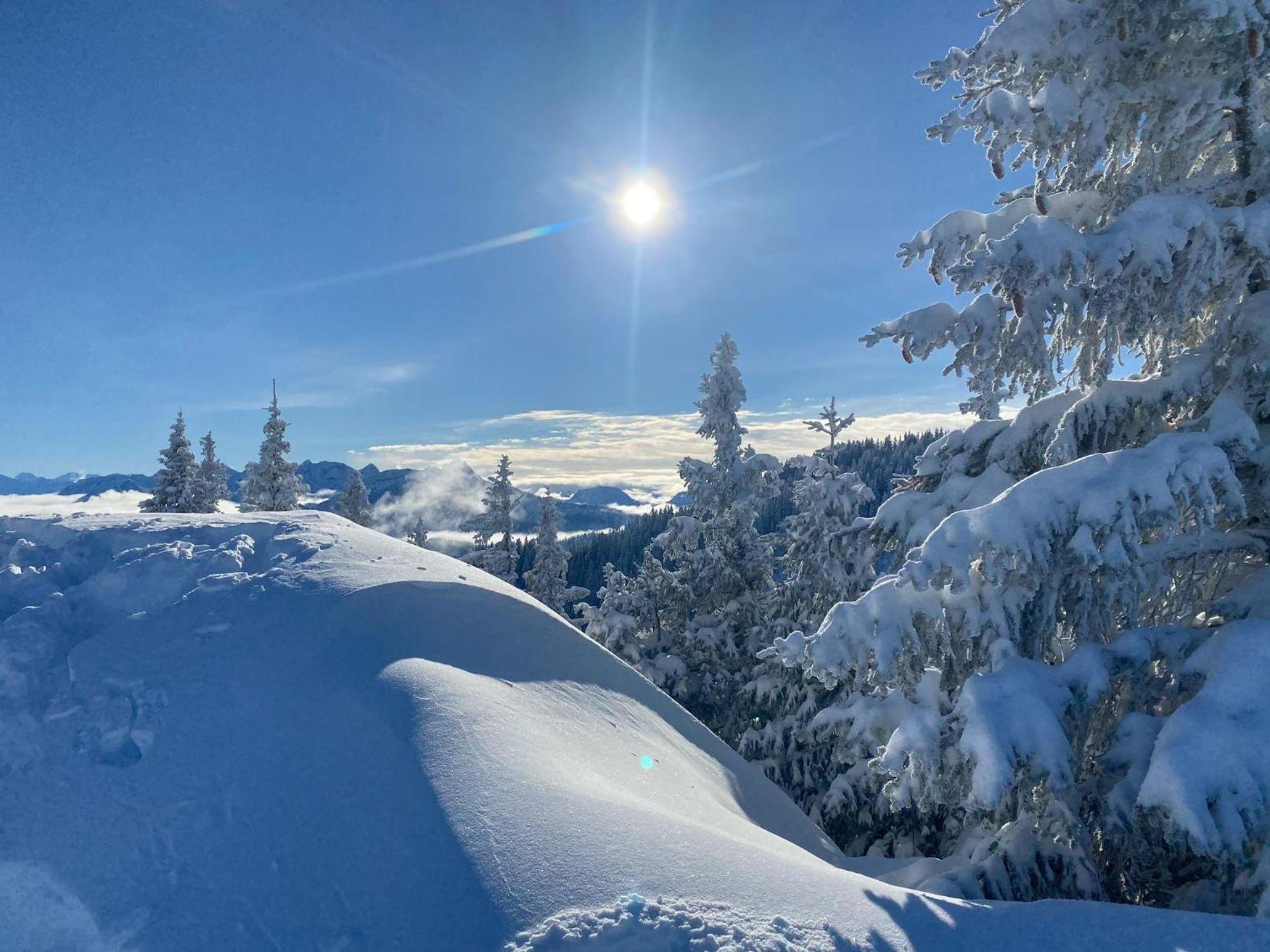 Trollenhof Im Allgaeu - Ferienwohnungen Saeuling Ruckholz Extérieur photo
