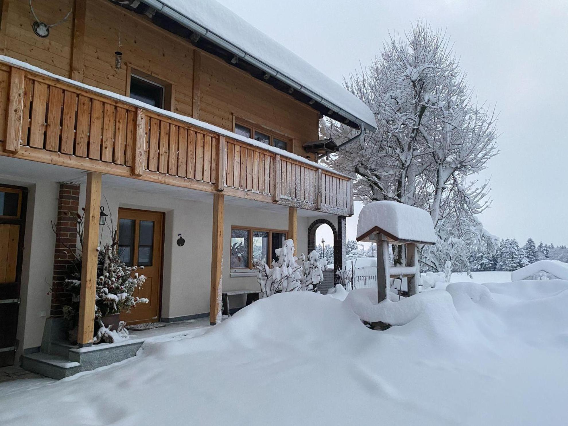 Trollenhof Im Allgaeu - Ferienwohnungen Saeuling Ruckholz Extérieur photo